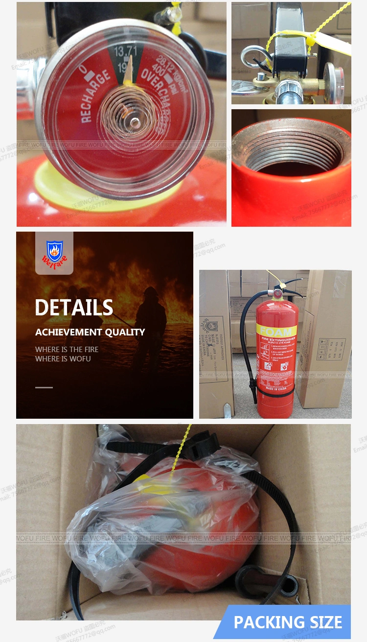 Metal Cylinder 10LTR Foam Fire Extinguisher, Foam Fire Fighting Equipment